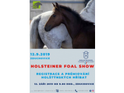 FOAL SHOW