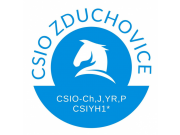 LOGO CSIO 2020